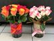 Picture of 20 RED ROSES ARRANGEMENT