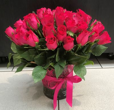 Picture of 50 RED ROSES ARRANGEMENT