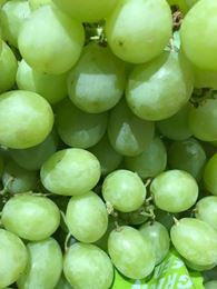 Picture of White Seedless Grapes 100g (each)
