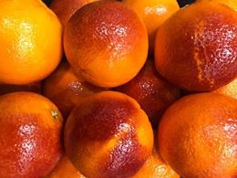 Picture of Blood Orange (each)