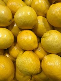 Picture of Lemon (each)