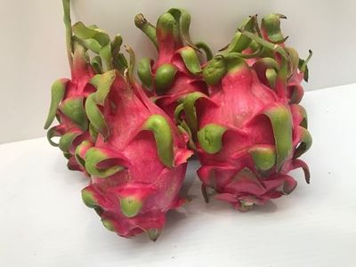 Picture of Dragon fruit (each)